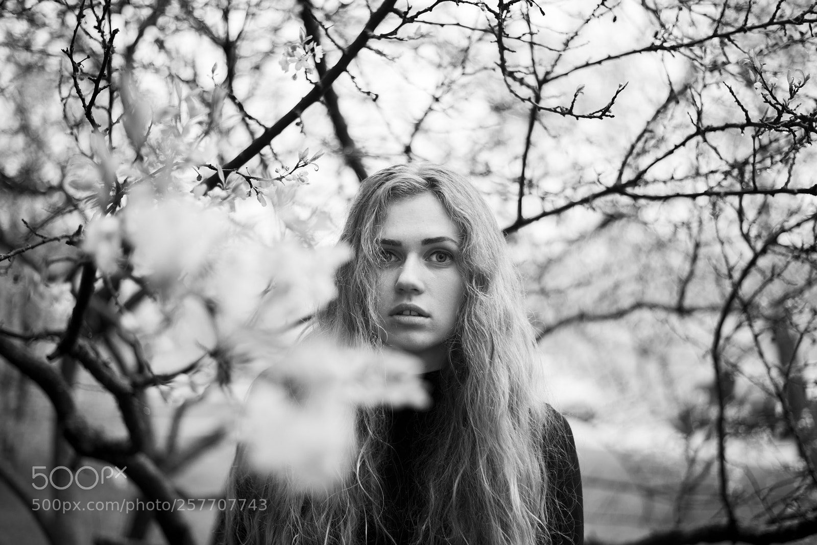 Nikon D750 sample photo. Spring rain photography