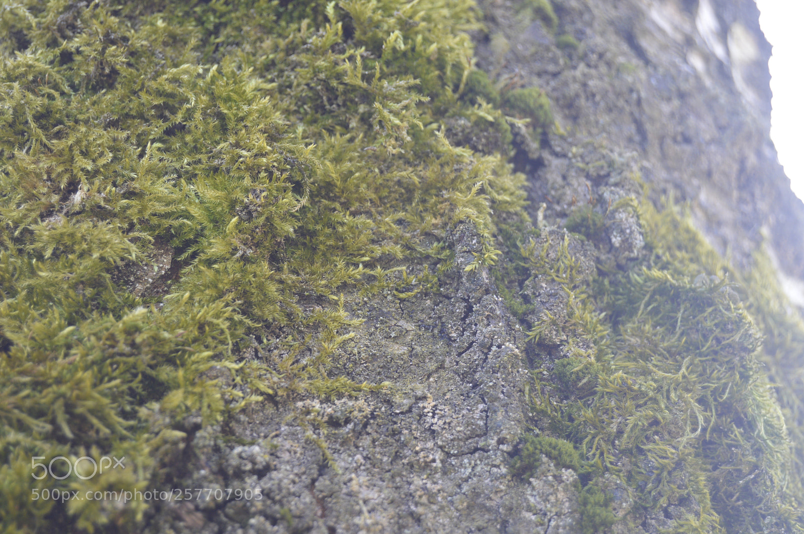Nikon D3200 sample photo. Dansk natur photography