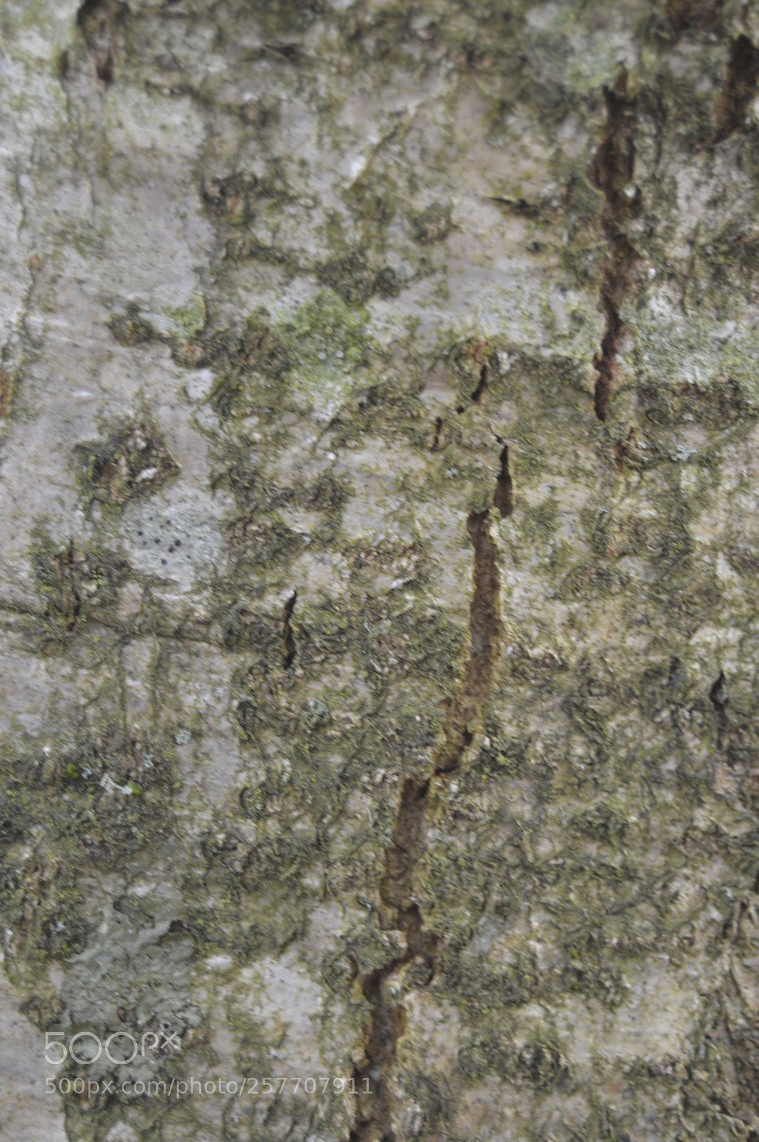 Nikon D3200 sample photo. Dansk natur photography