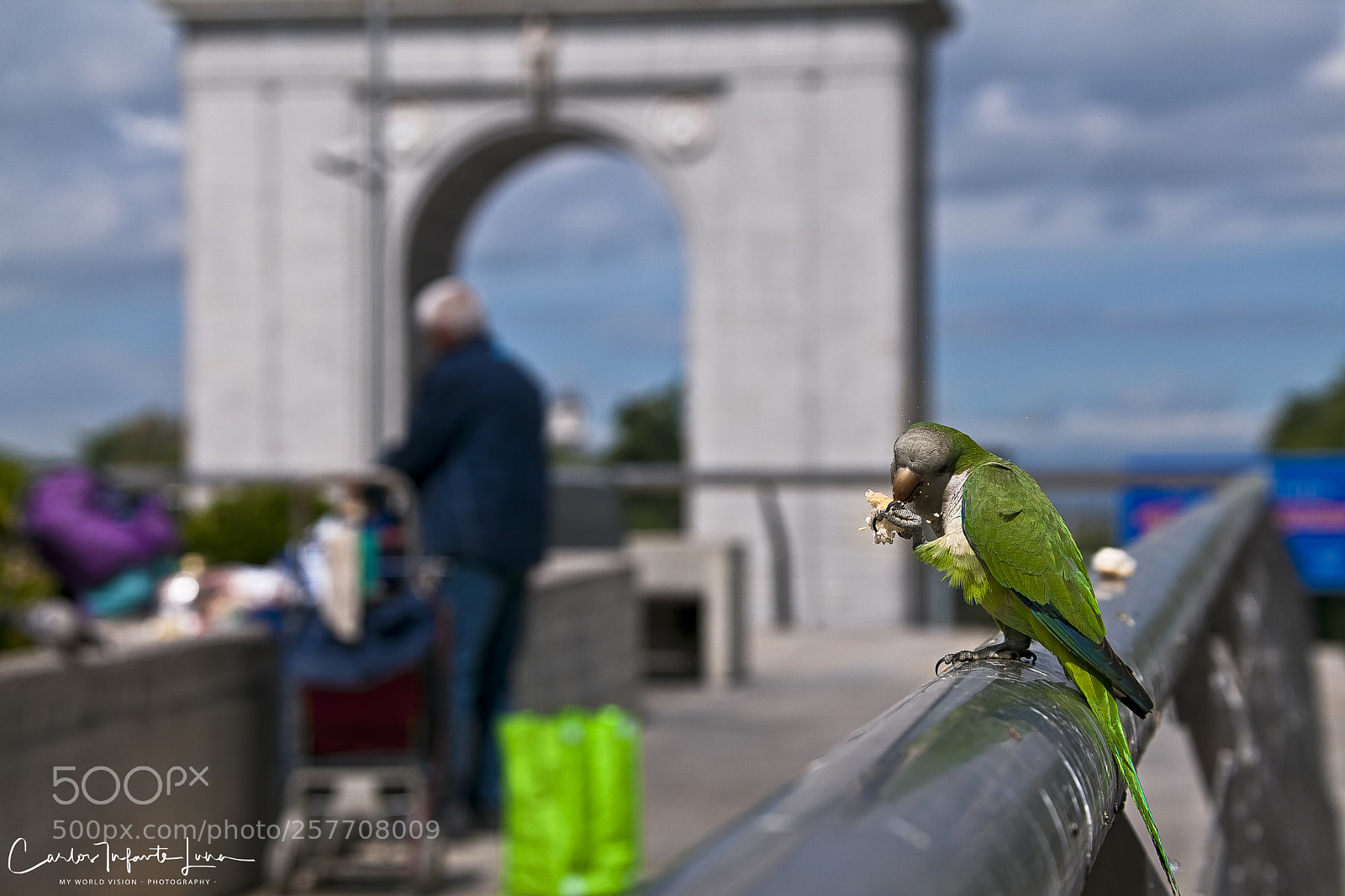 Canon EOS 5D Mark II sample photo. Domiti y el p photography