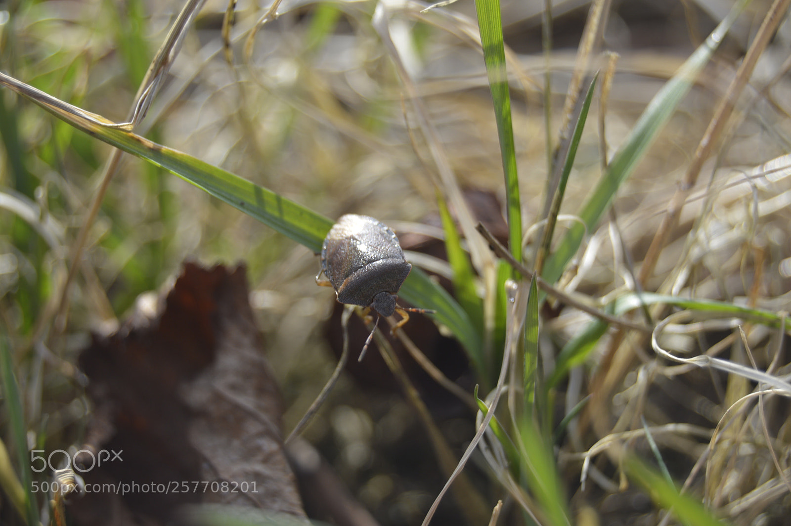 Nikon D3200 sample photo. Dansk netur photography