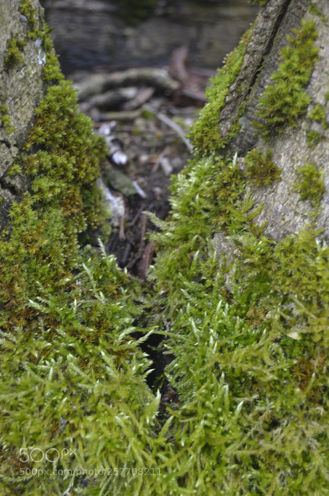 Nikon D3200 sample photo. Dansk netur photography