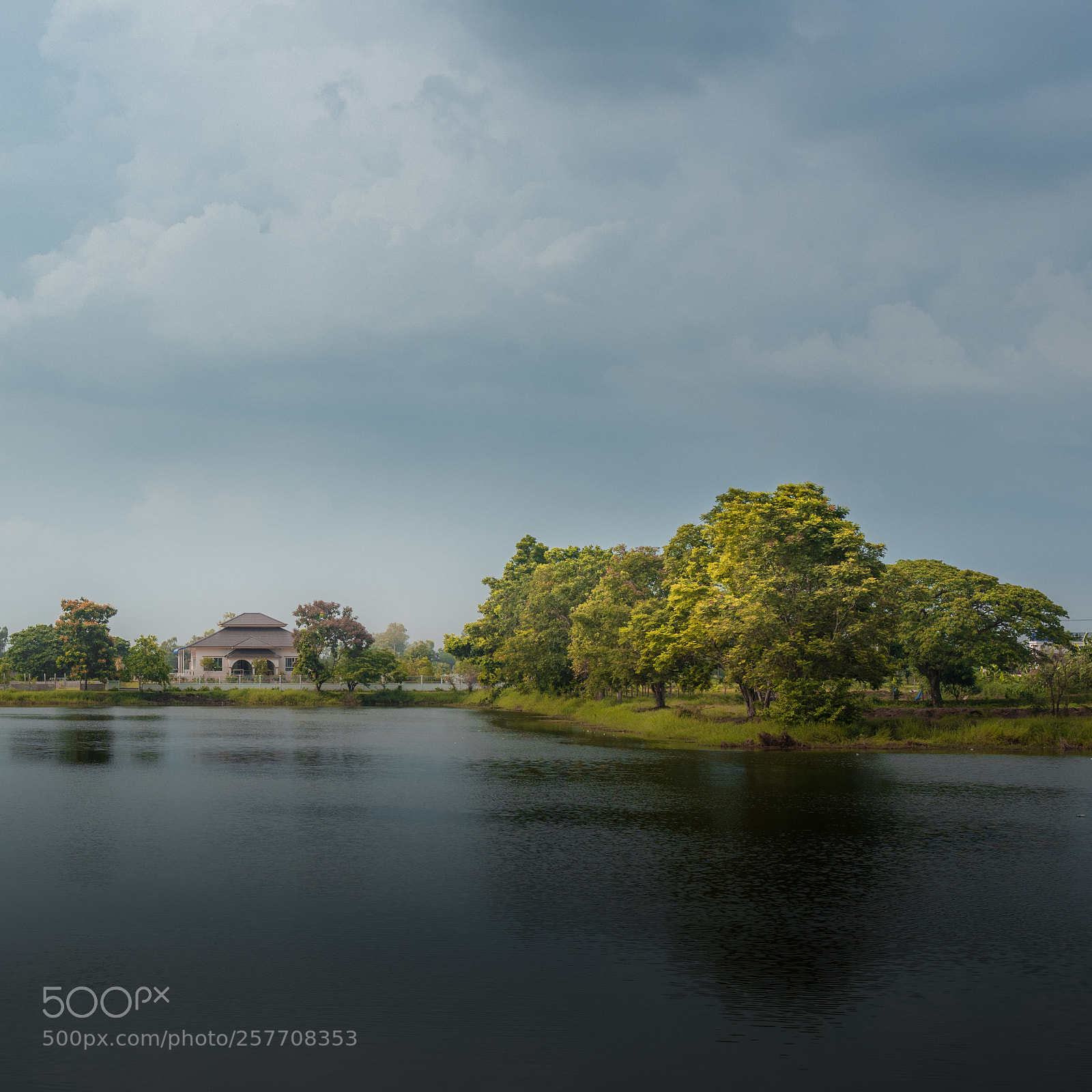 Nikon D810 sample photo. Home photography