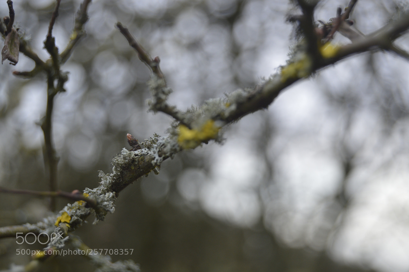 Nikon D3200 sample photo. Dansk natur photography