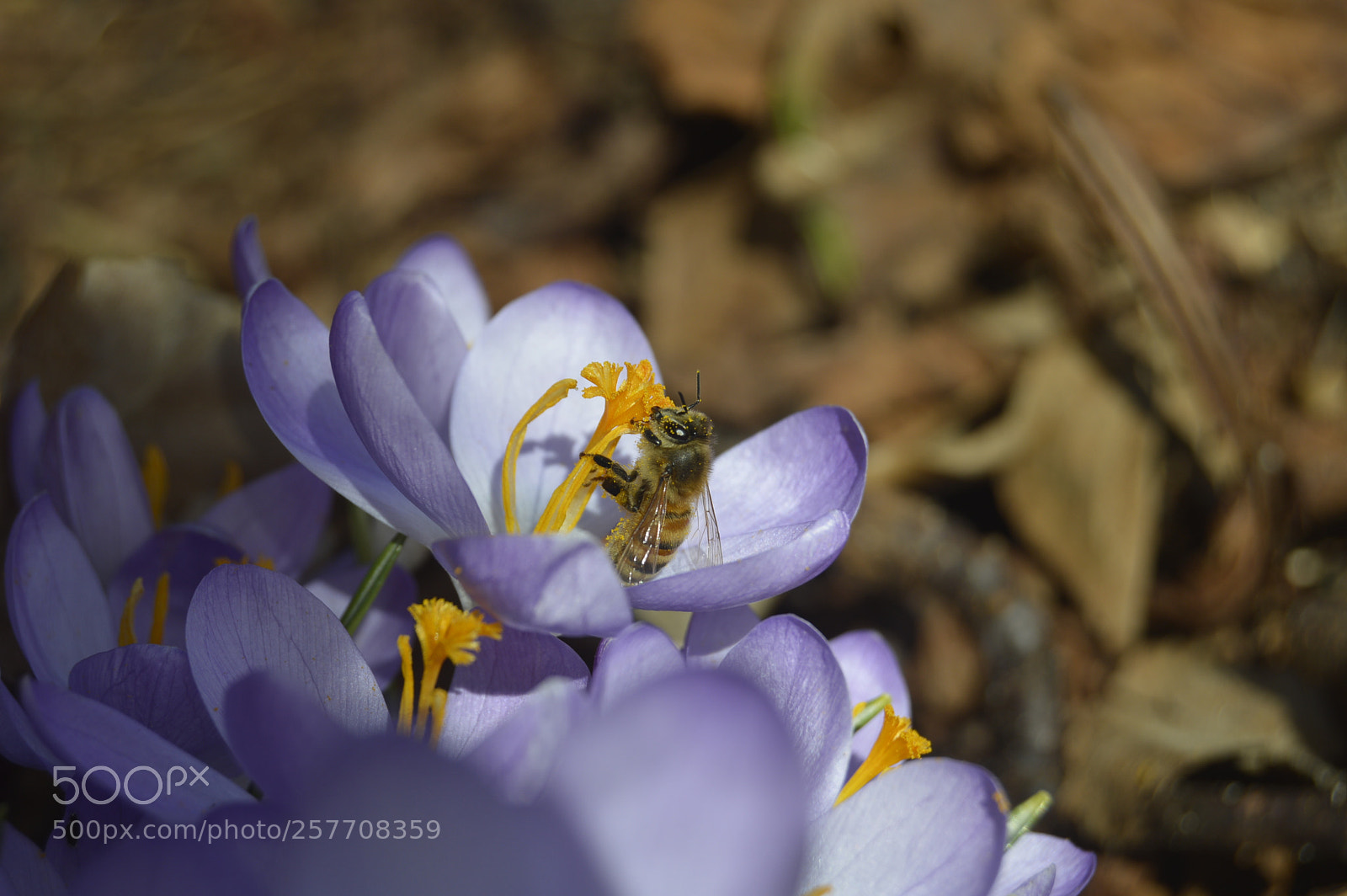 Nikon D3200 sample photo. Dansk natur photography