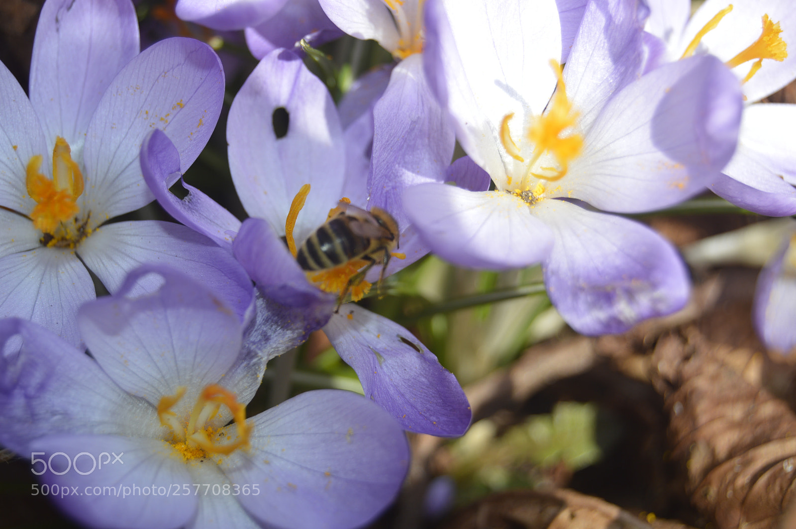 Nikon D3200 sample photo. Dansk natur photography