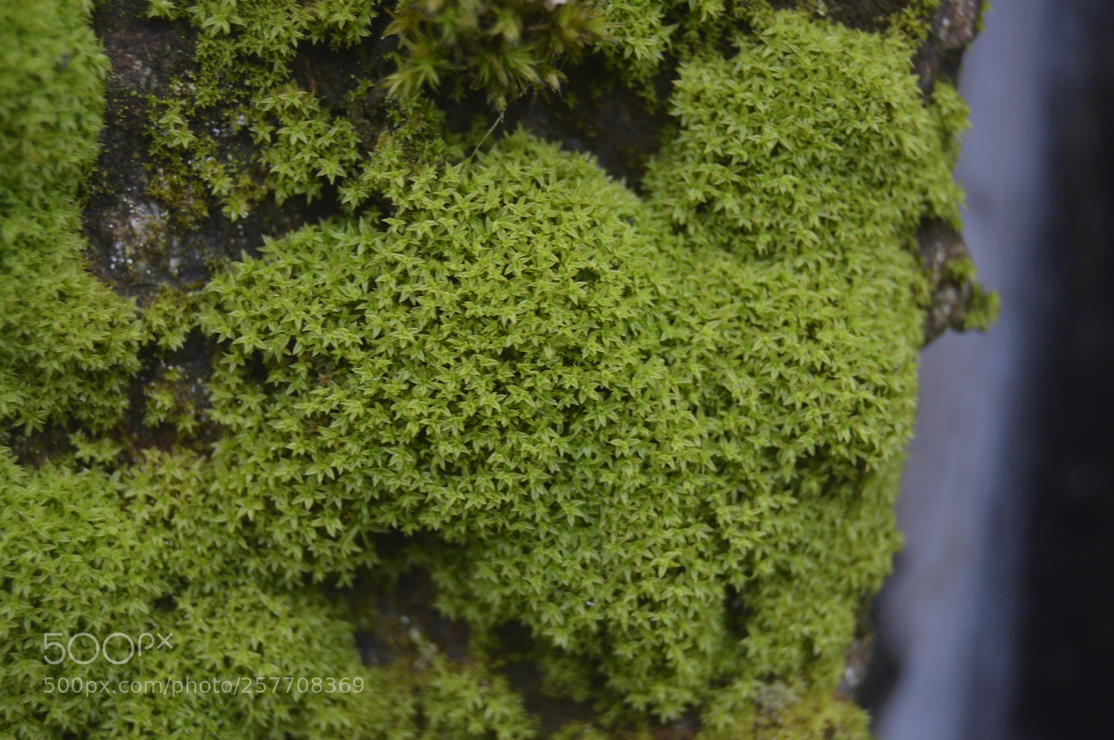 Nikon D3200 sample photo. Dansk natur photography