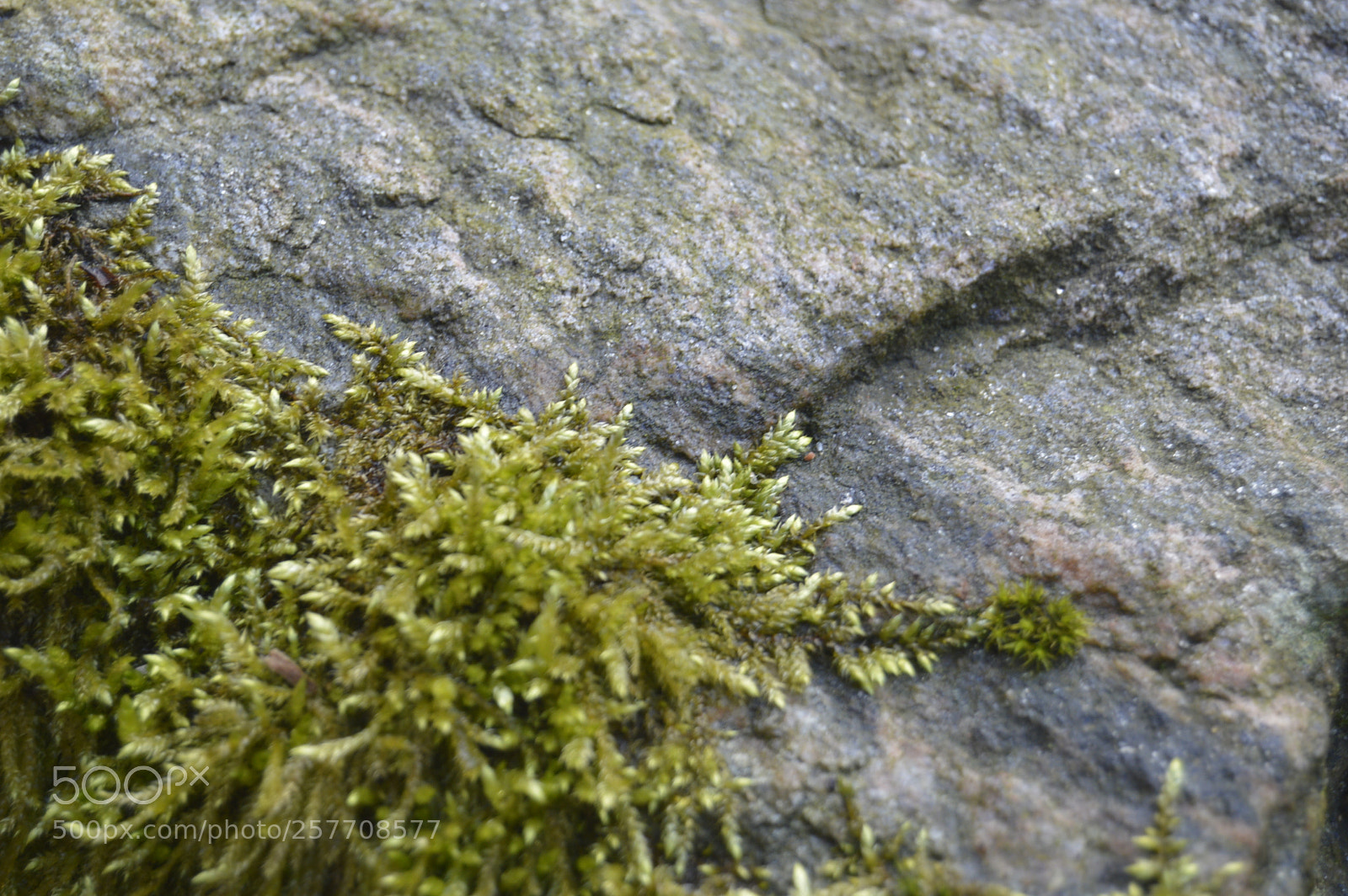 Nikon D3200 sample photo. Dansk natur photography