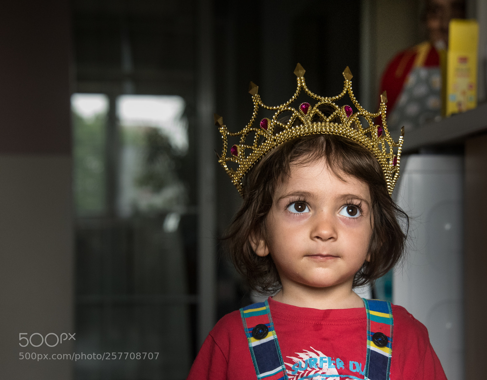 Nikon D750 sample photo. The queen photography