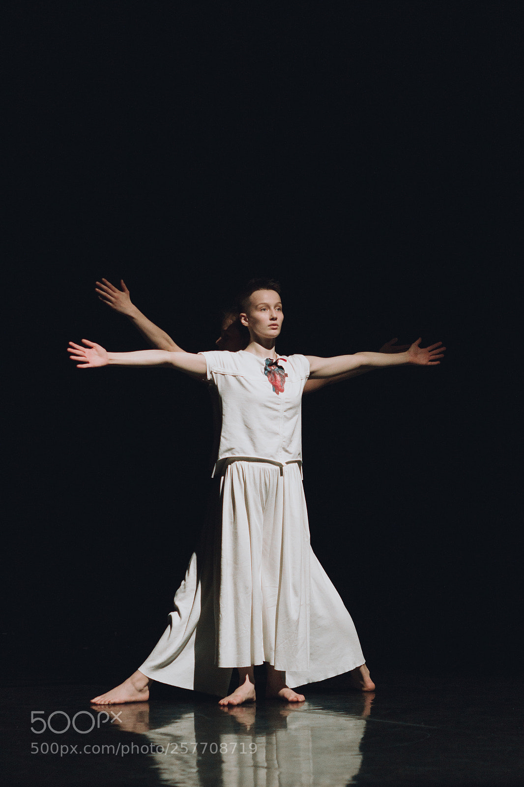Canon EOS 600D (Rebel EOS T3i / EOS Kiss X5) sample photo. Dialogue dance photography