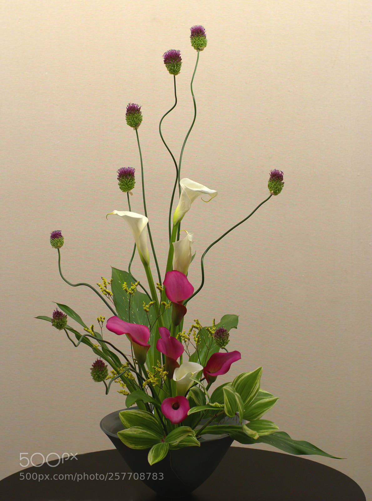 Nikon D7100 sample photo. Ikebana photography