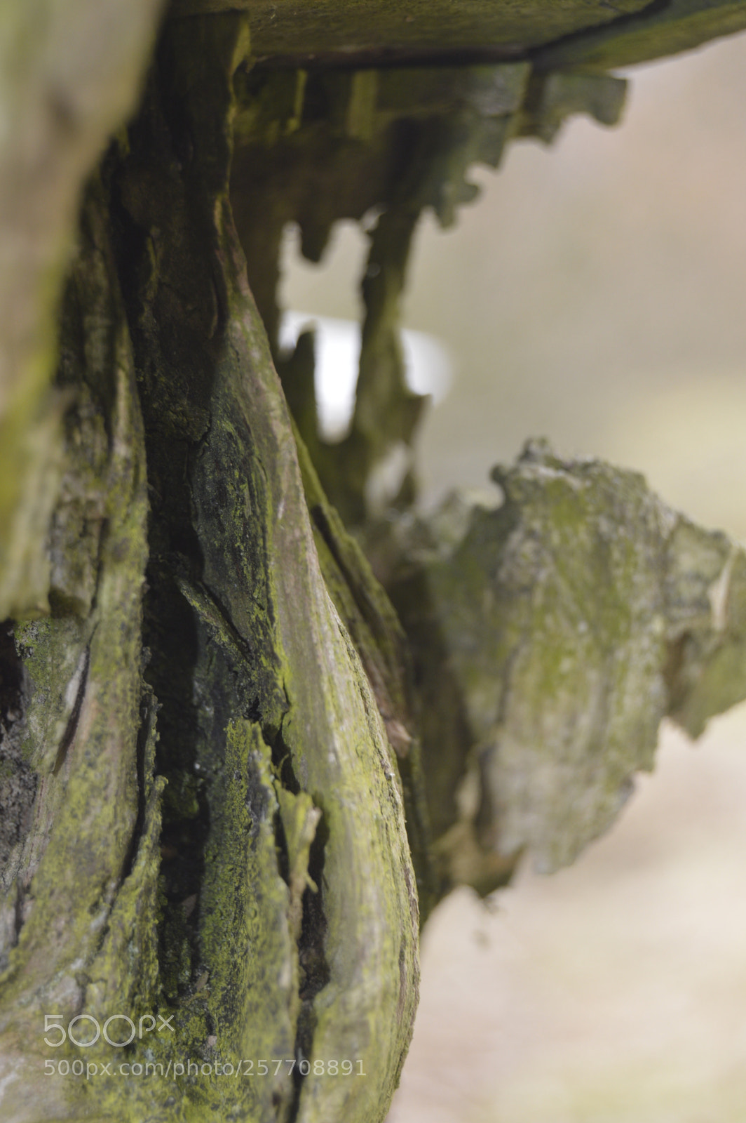 Nikon D3200 sample photo. Dansk natur photography