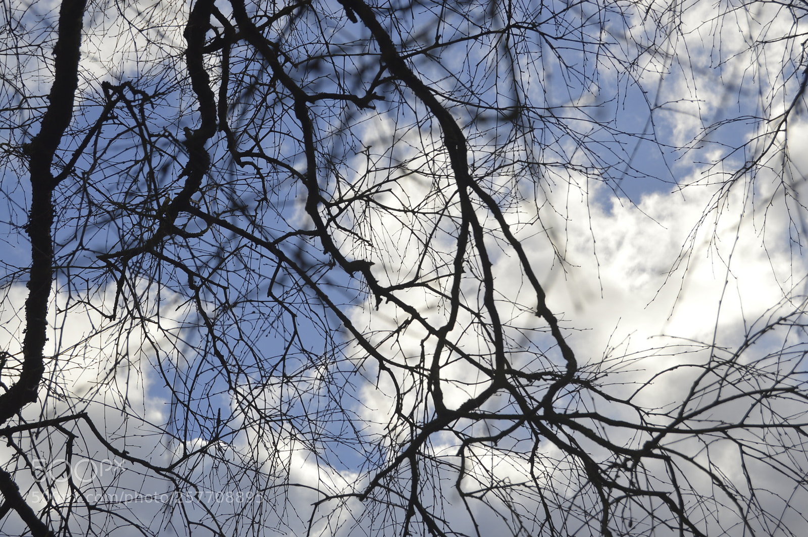 Nikon D3200 sample photo. Dansk natur photography