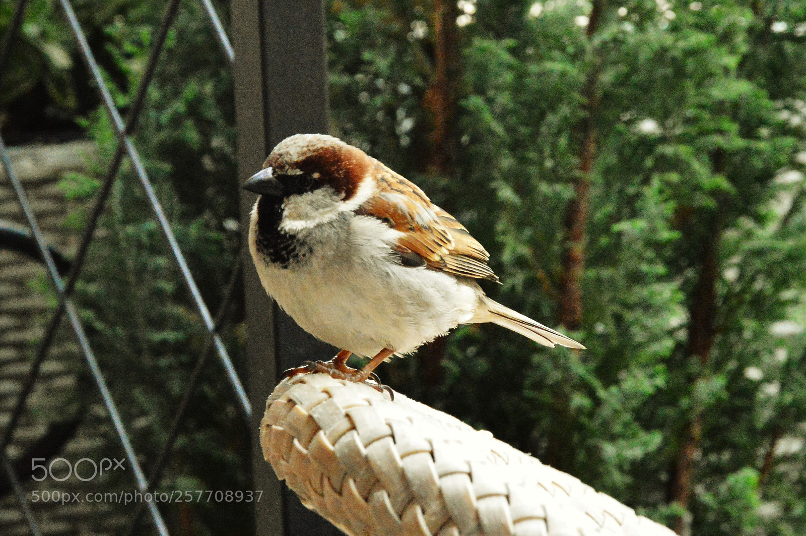 Nikon D3200 sample photo. Untitled photography
