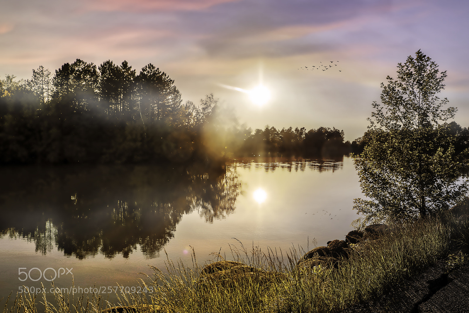 Canon EOS 6D Mark II sample photo. Untitled photography