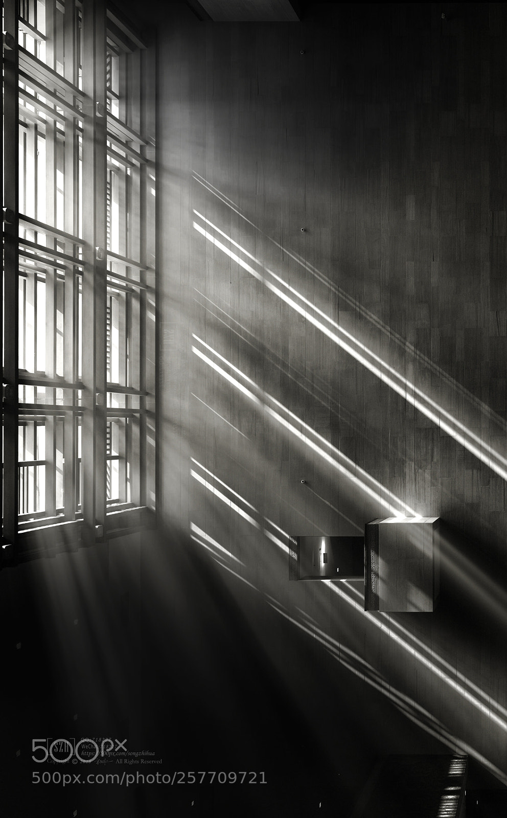 Nikon D750 sample photo. Light and shadow photography