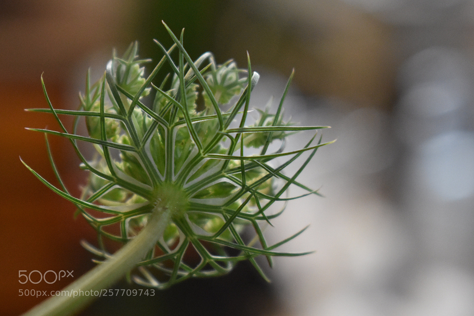 Nikon D3400 sample photo. I ve got your photography