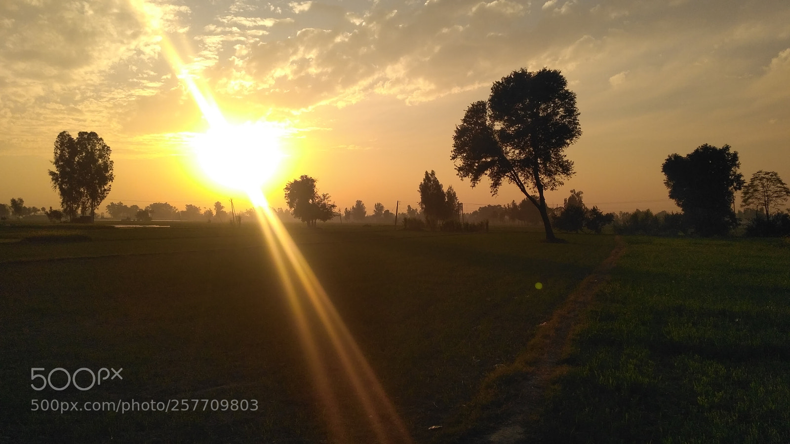 Xiaomi Redmi 3S sample photo. Untitled photography