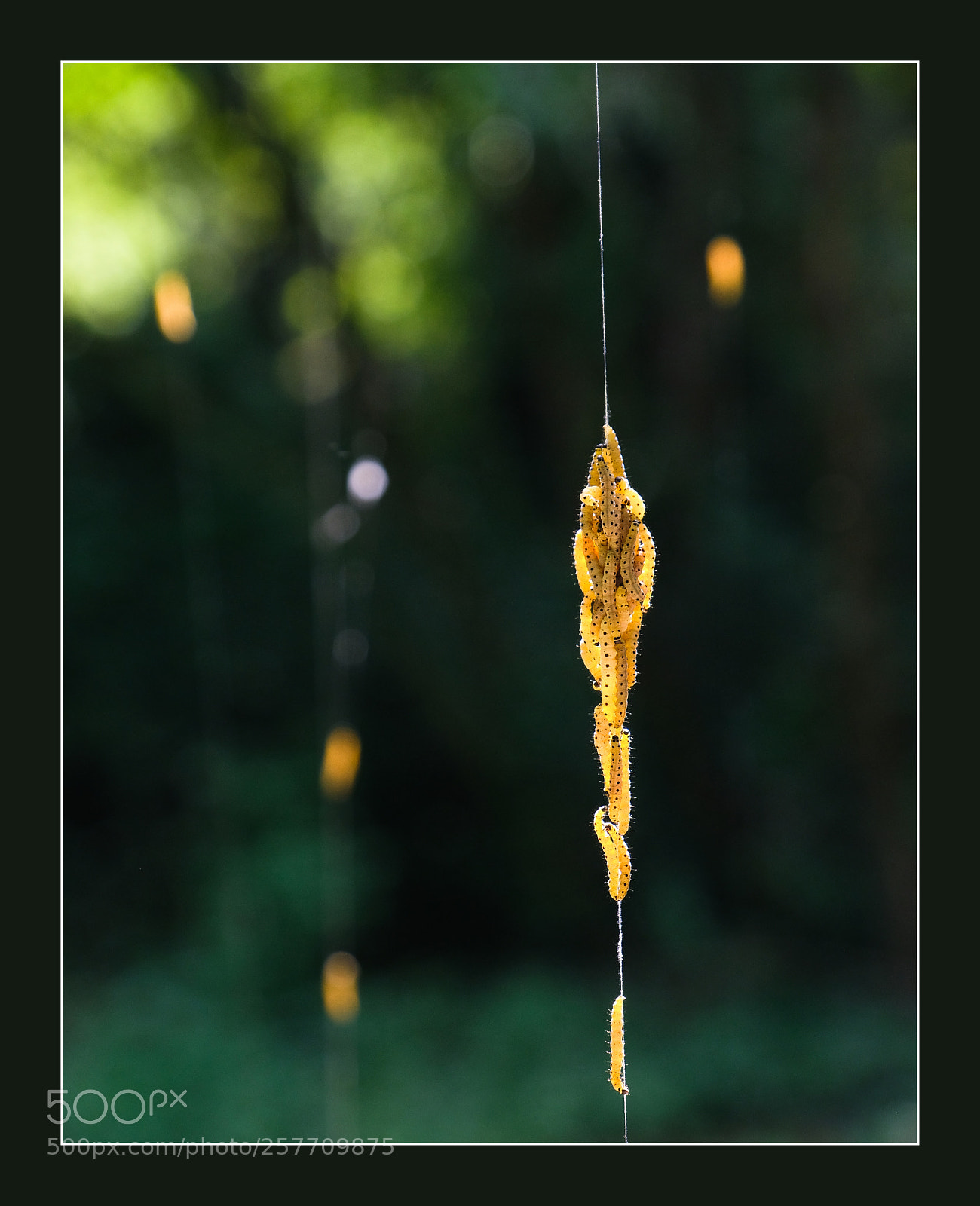 Fujifilm X-T2 sample photo. Hangin up photography