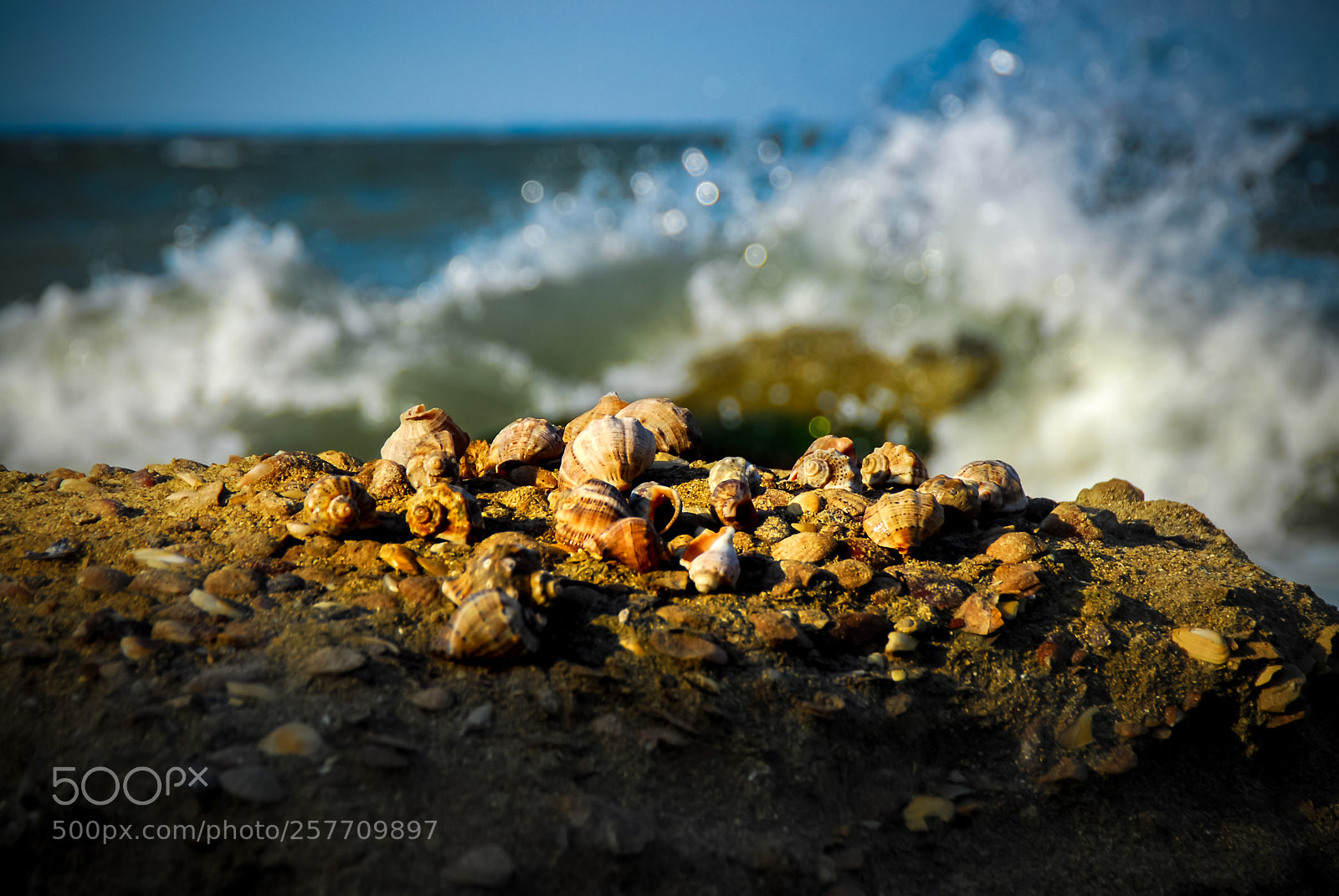 Nikon D200 sample photo. Black sea photography