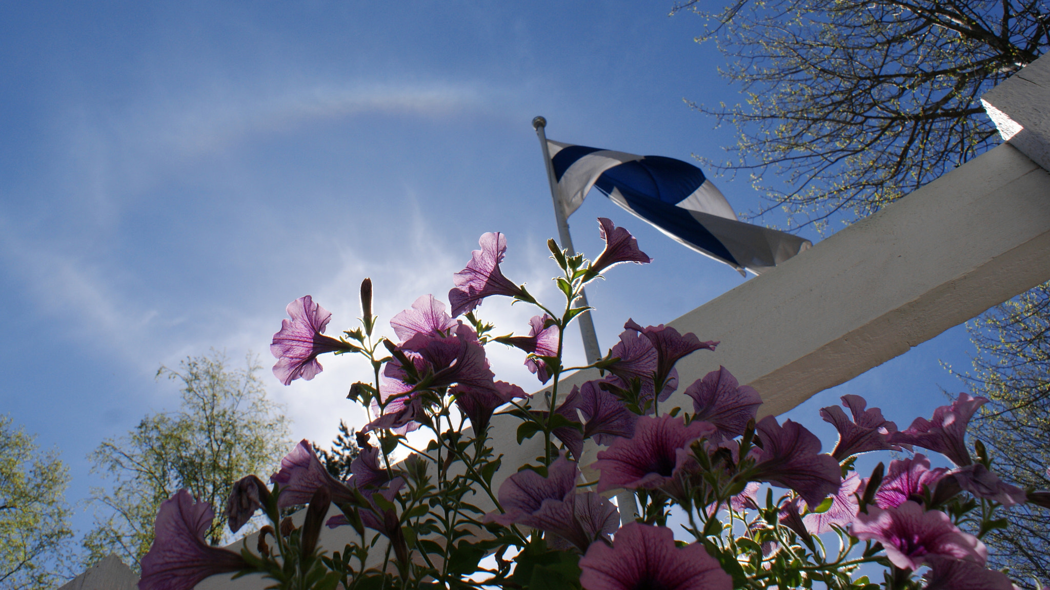 Sony DT 18-70mm F3.5-5.6 sample photo. Happy mother`s day  ! photography
