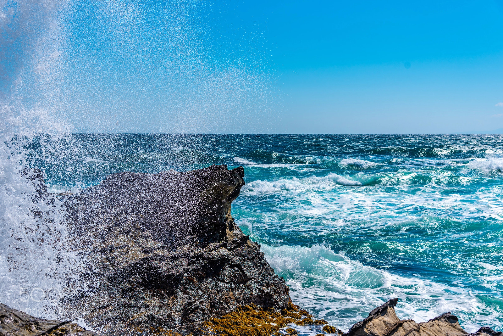 Nikon D750 sample photo. Wave splash photography
