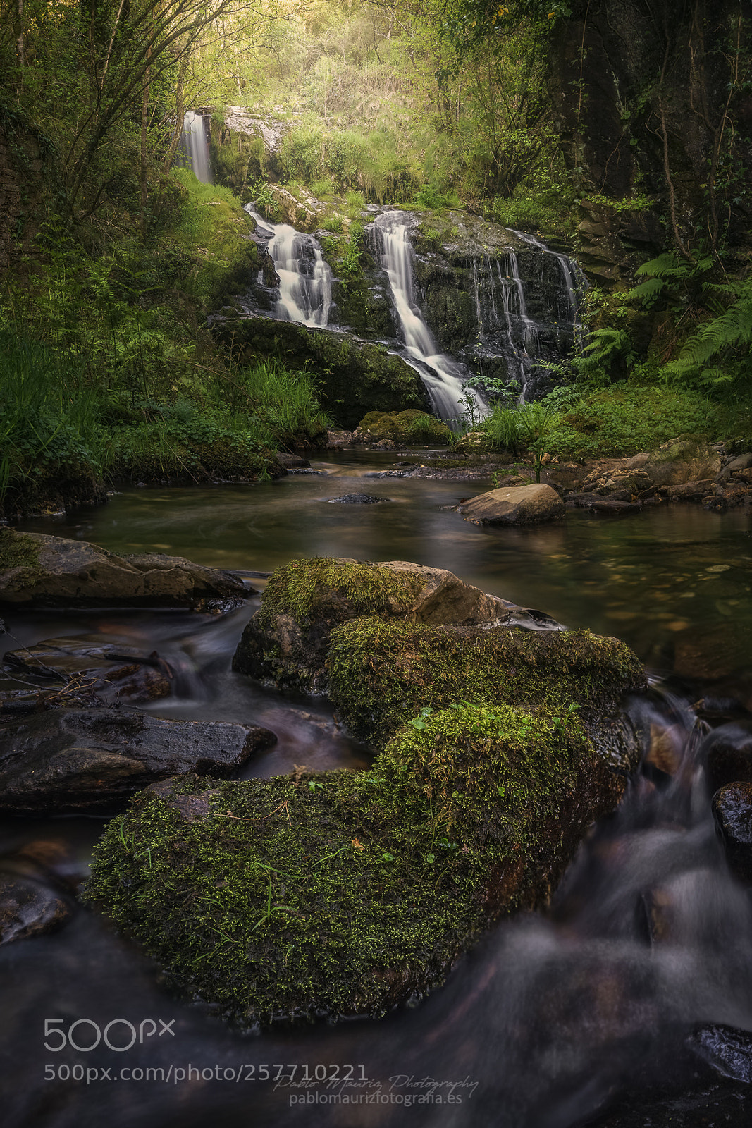 Sony a7 II sample photo. In a paradise lost photography