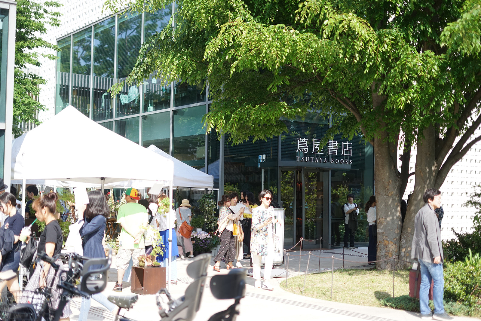 Sony a7R sample photo. Daikanyama tsutaya photography