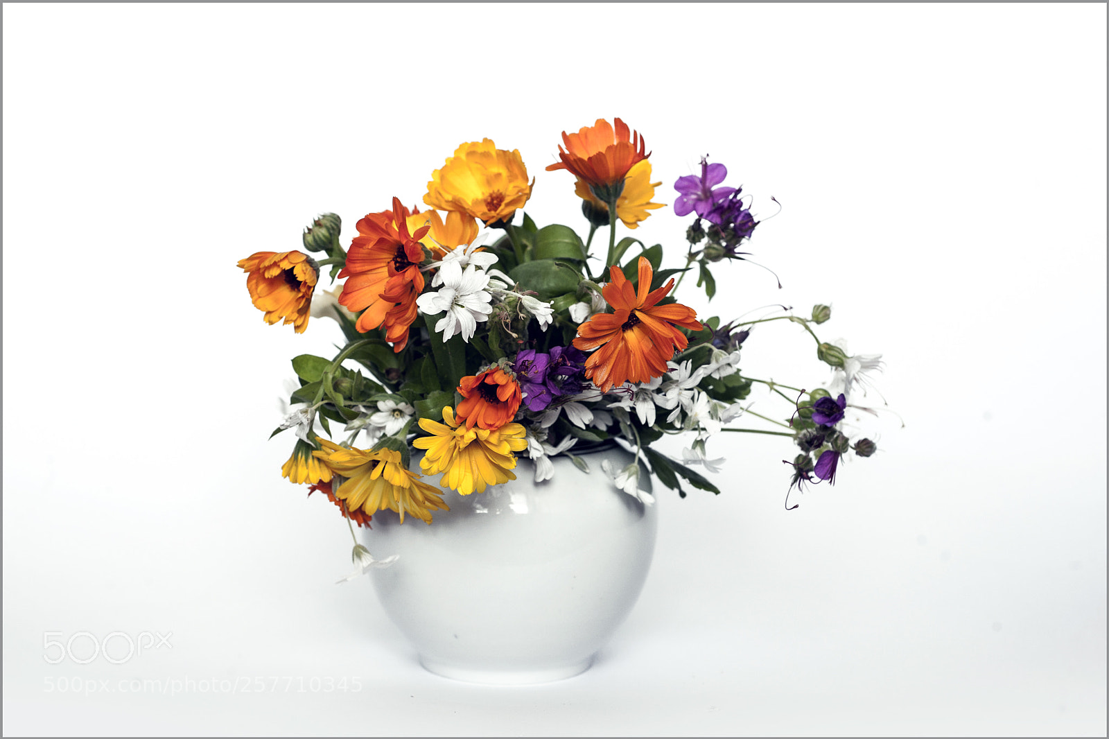 Nikon D700 sample photo. *** photography