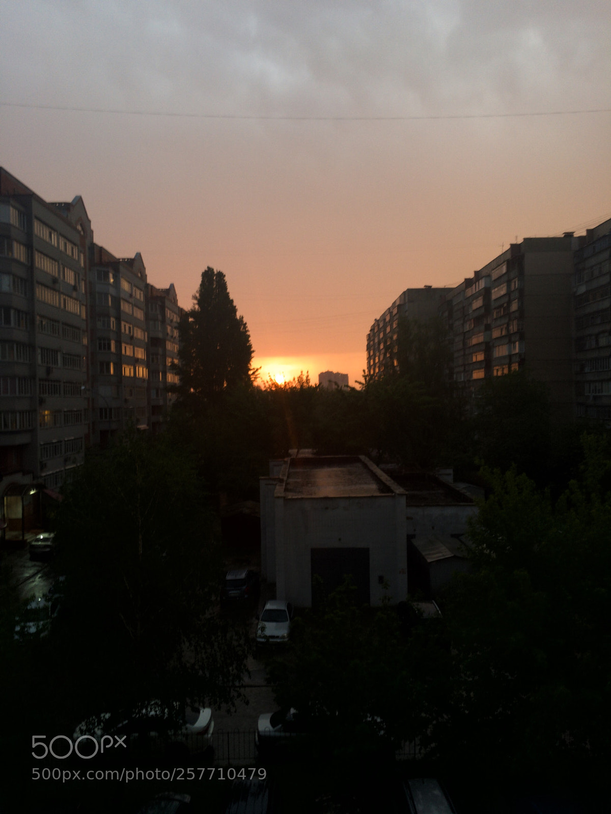 Apple iPhone 6s sample photo. Untitled photography