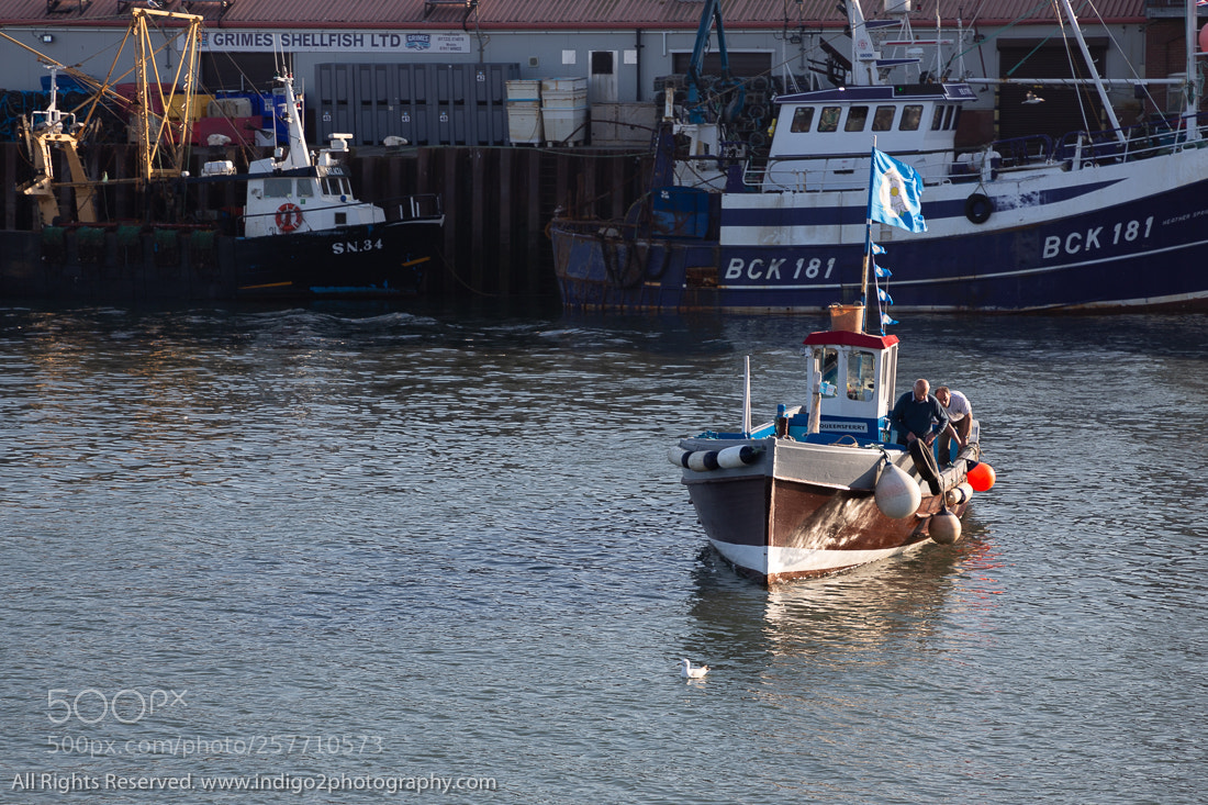 Canon EOS 6D sample photo. Queensferry photography
