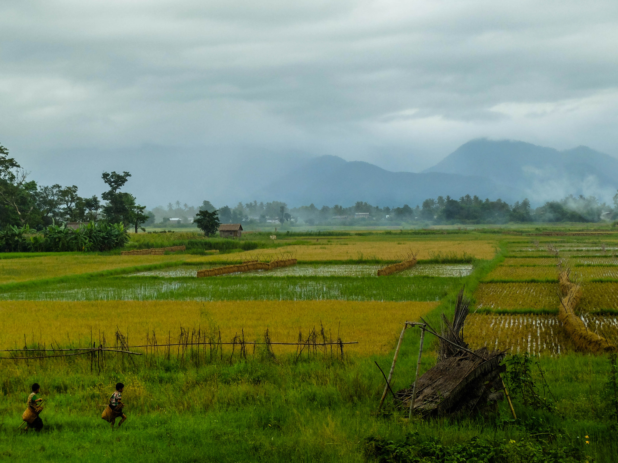 Fujifilm X20 sample photo. Rize fields inle lake photography