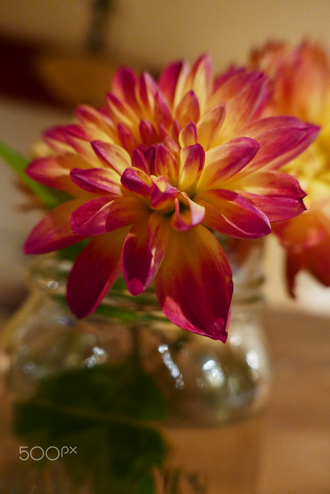 Panasonic Lumix DMC-ZS100 (Lumix DMC-TZ100) sample photo. Joy in a jar photography