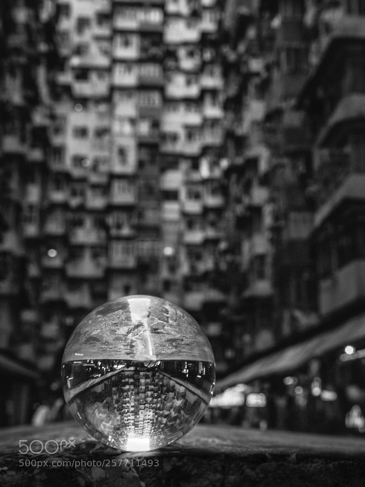 Leica SL (Typ 601) sample photo. In-‘sep-shen\ photography