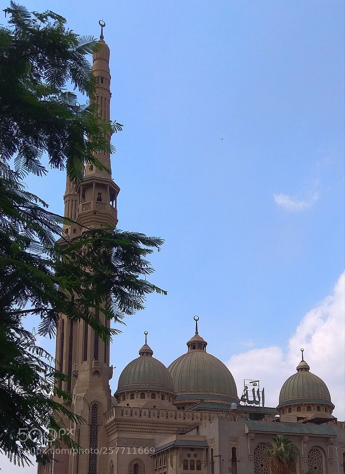 Xiaomi Redmi Note 4 sample photo. Untitled photography