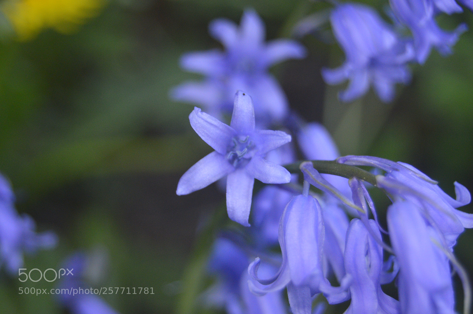 Nikon D3200 sample photo. Dansk natur photography