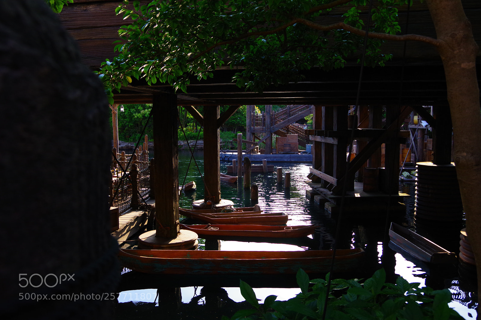 Pentax K-70 sample photo. Untitled photography