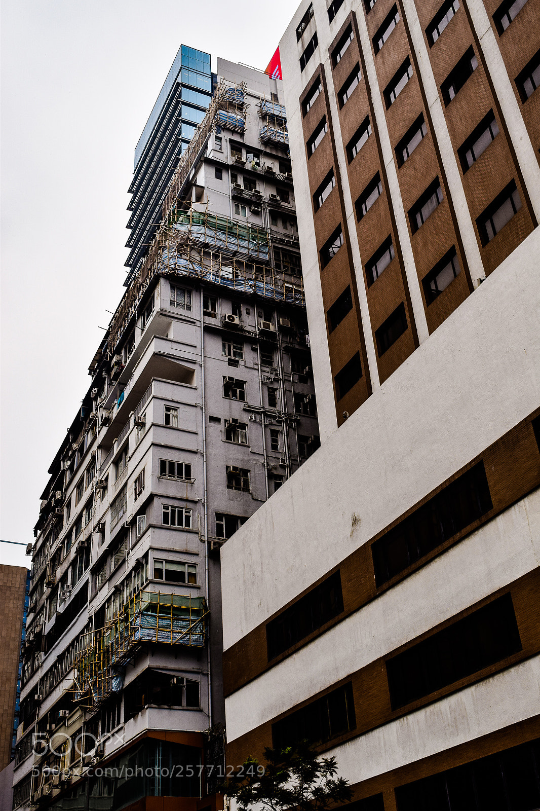 Nikon D5300 sample photo. Hong kong tsim sa photography