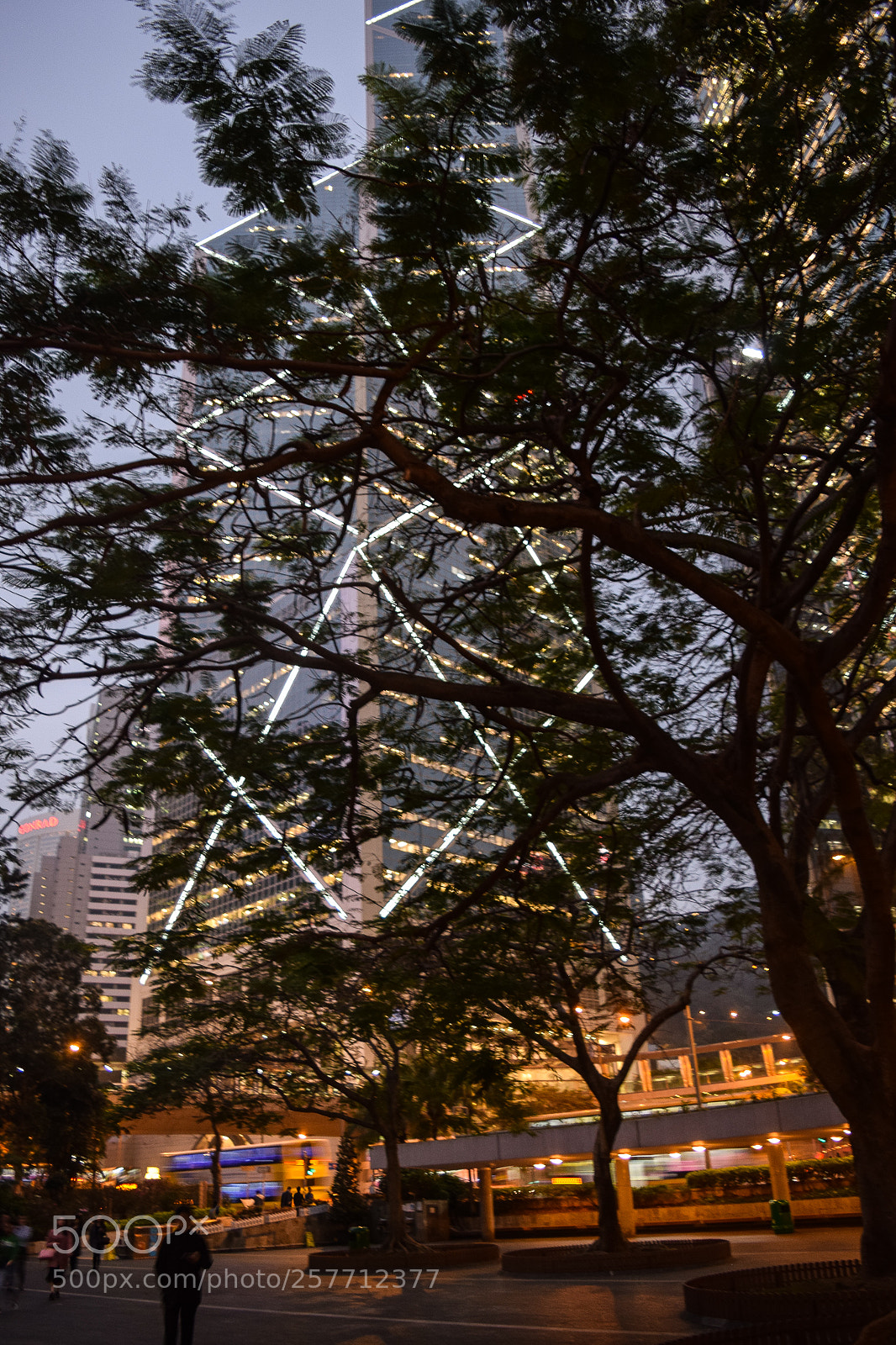 Nikon D5300 sample photo. Hong kong tsim sa photography