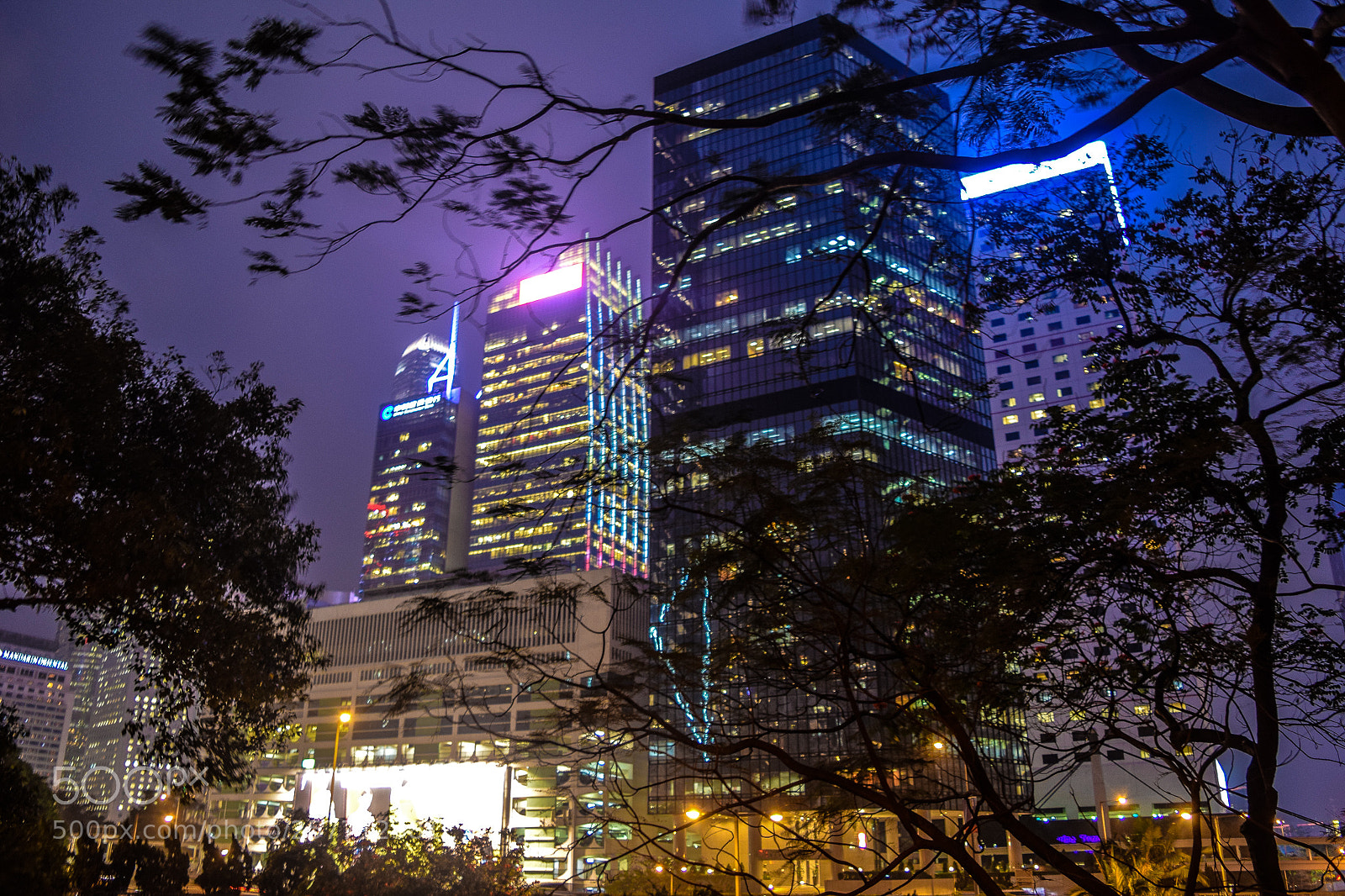 Nikon D5300 sample photo. Hong kong tsim sa photography