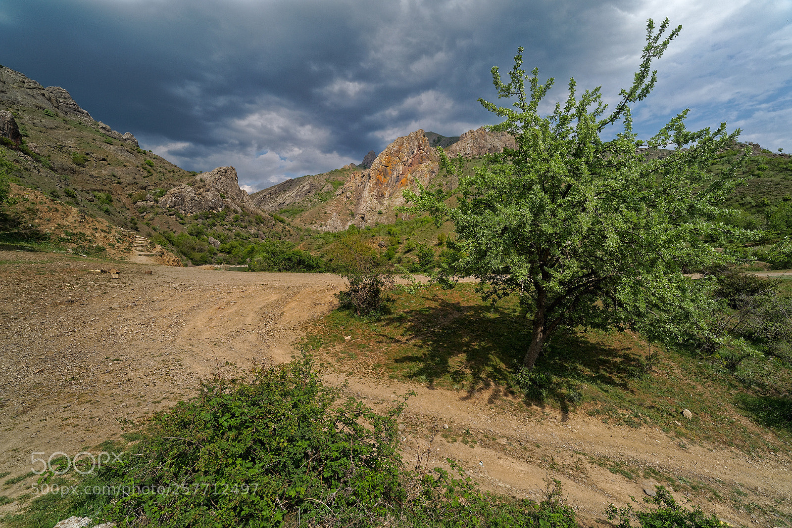 Pentax K-1 sample photo. Зеленогорье / greenlands (2) photography