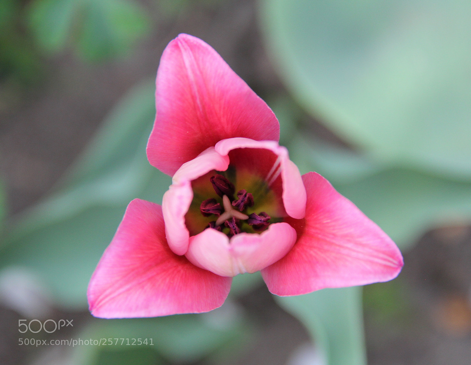 Canon EF-S 18-135mm F3.5-5.6 IS sample photo. Img photography