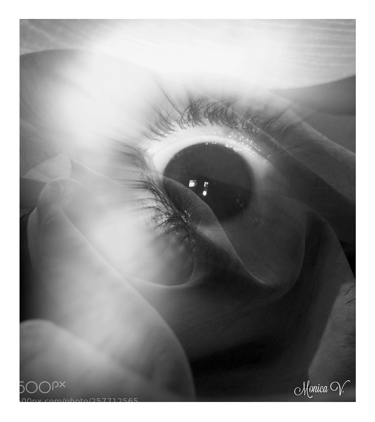 Canon PowerShot SX50 HS sample photo. Paura photography