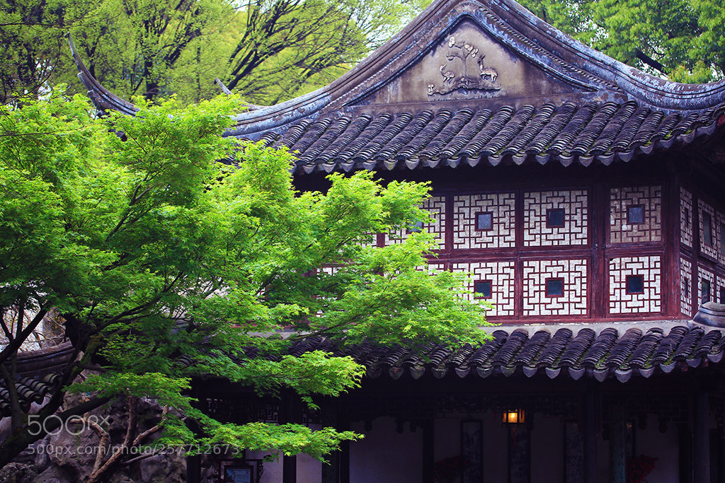 Canon EOS 7D sample photo. 苏州园林 photography