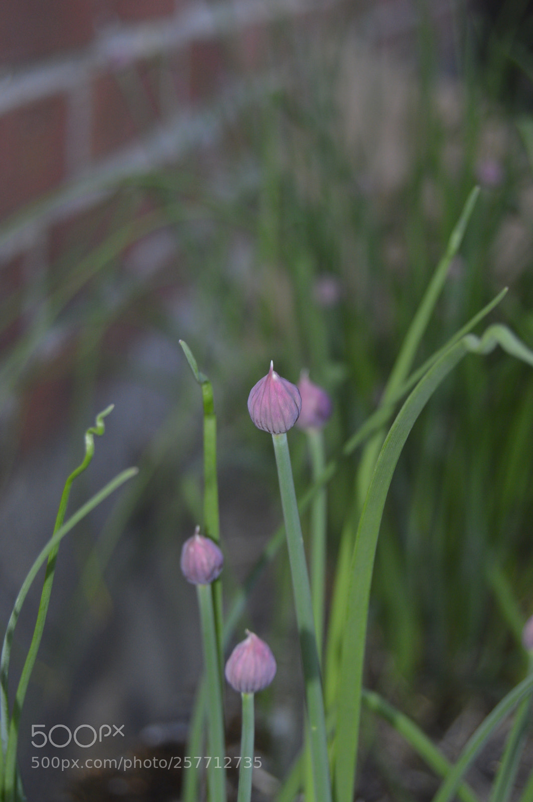 Nikon D3200 sample photo. Dansk natur photography