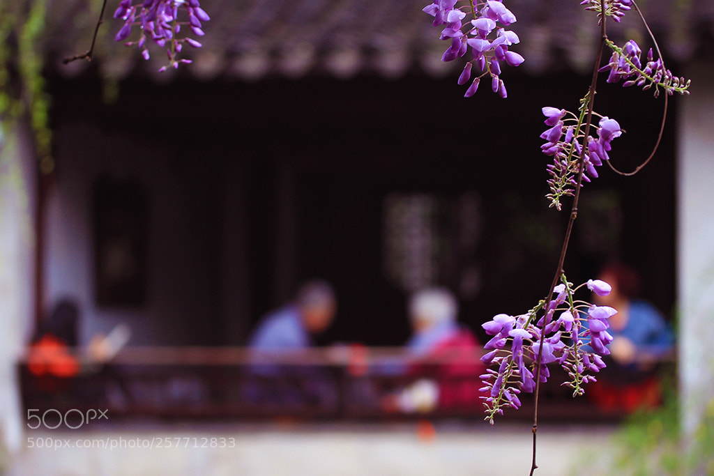 Canon EOS 7D sample photo. Untitled photography