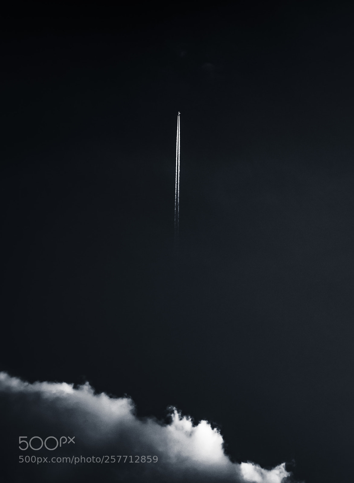 Nikon D500 sample photo. Rocket man photography