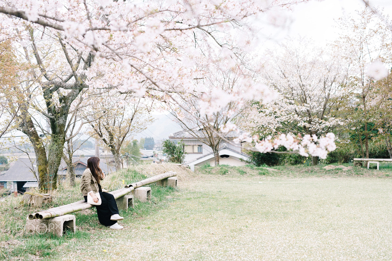 Nikon D610 sample photo. Wayatokazuya photography
