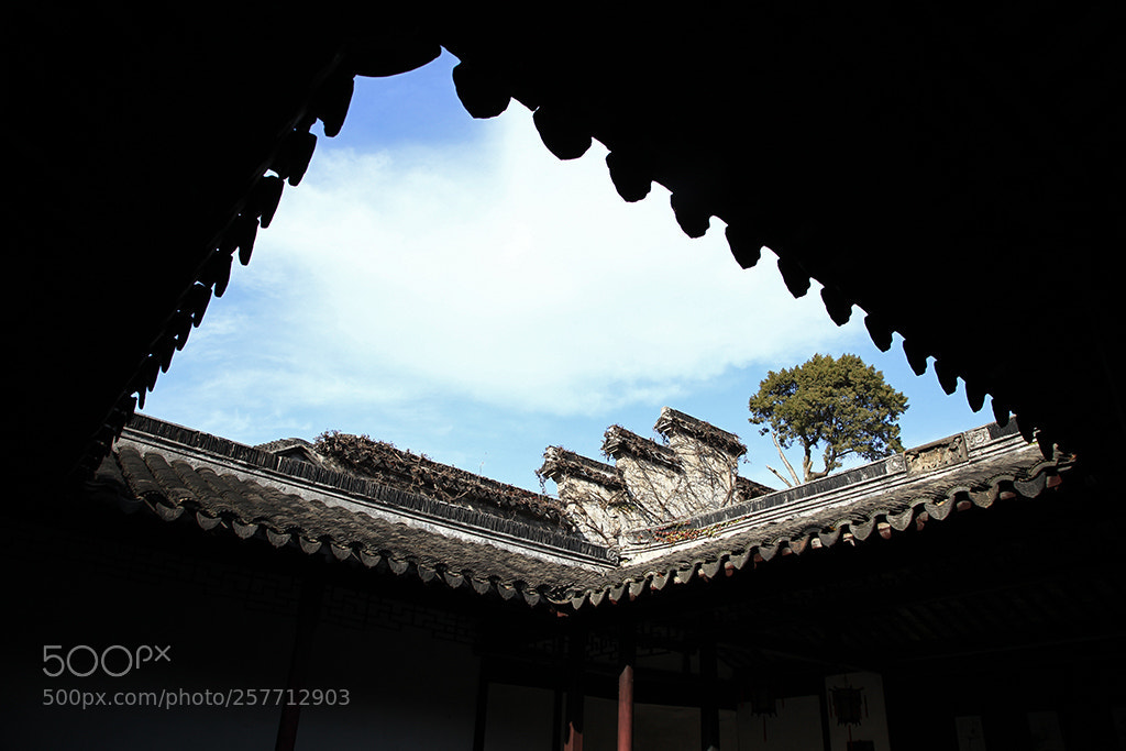 Canon EOS 5D Mark II sample photo. Untitled photography