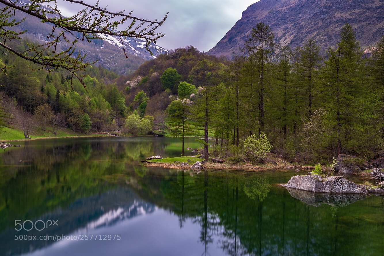 Nikon D750 sample photo. Mirror lake photography